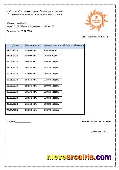 Georgia Telasi business utility bill